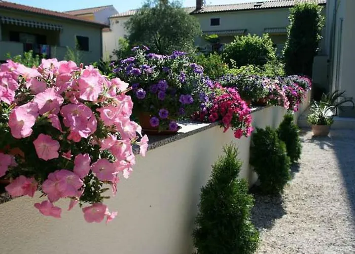 Gimi 4* Mošćenička Draga